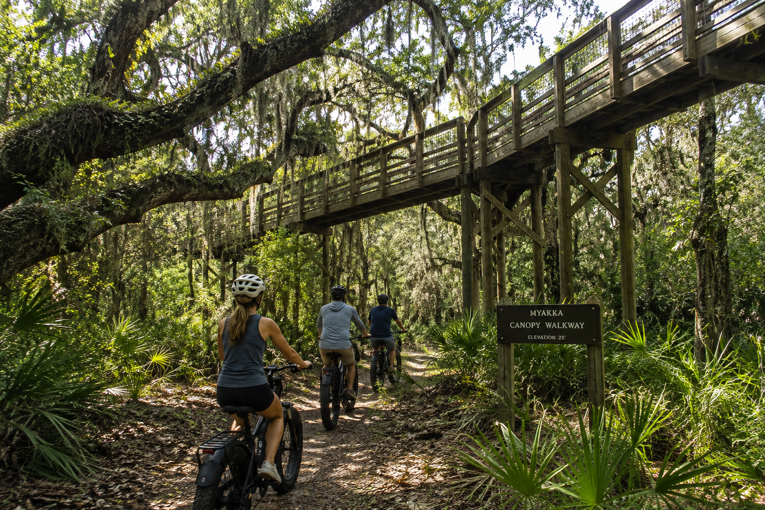 E-bike ride through Myakka River State Park