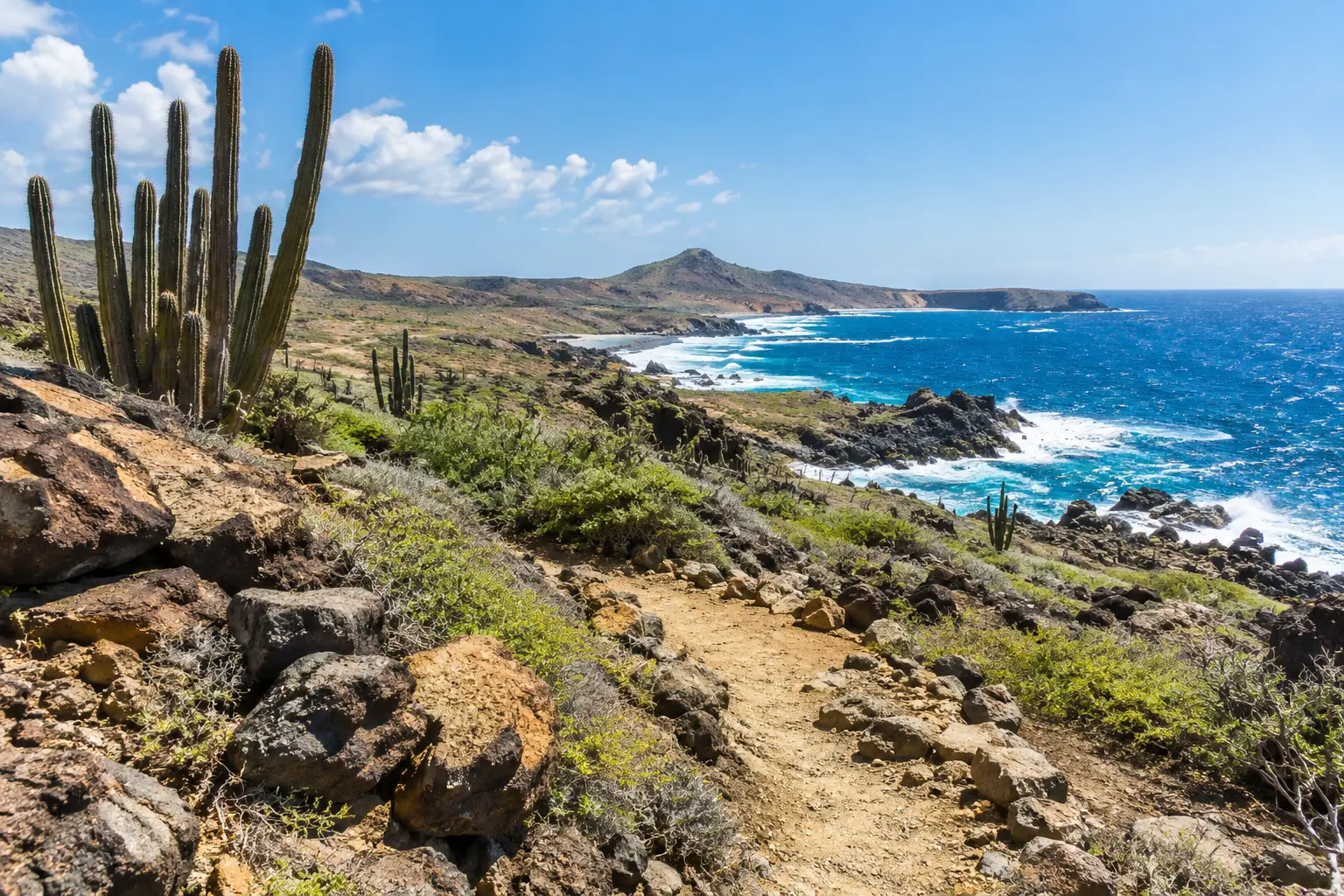 Representative rugged northeast Aruba coast