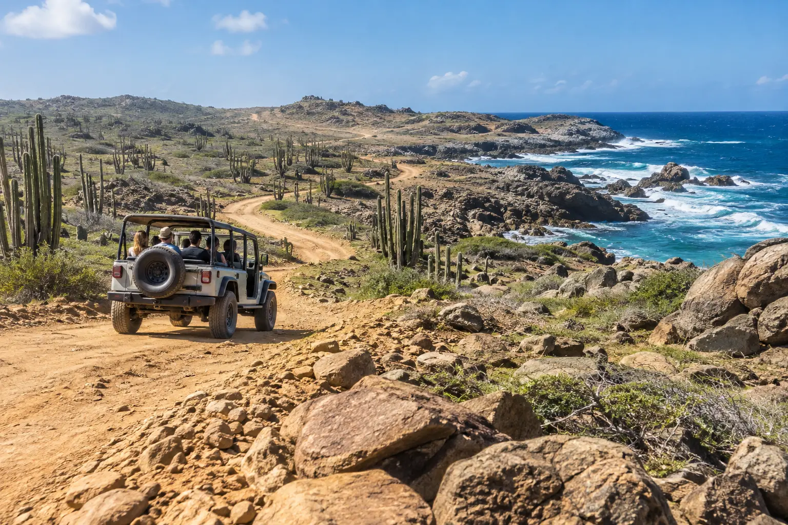 Representative Aruba island safari