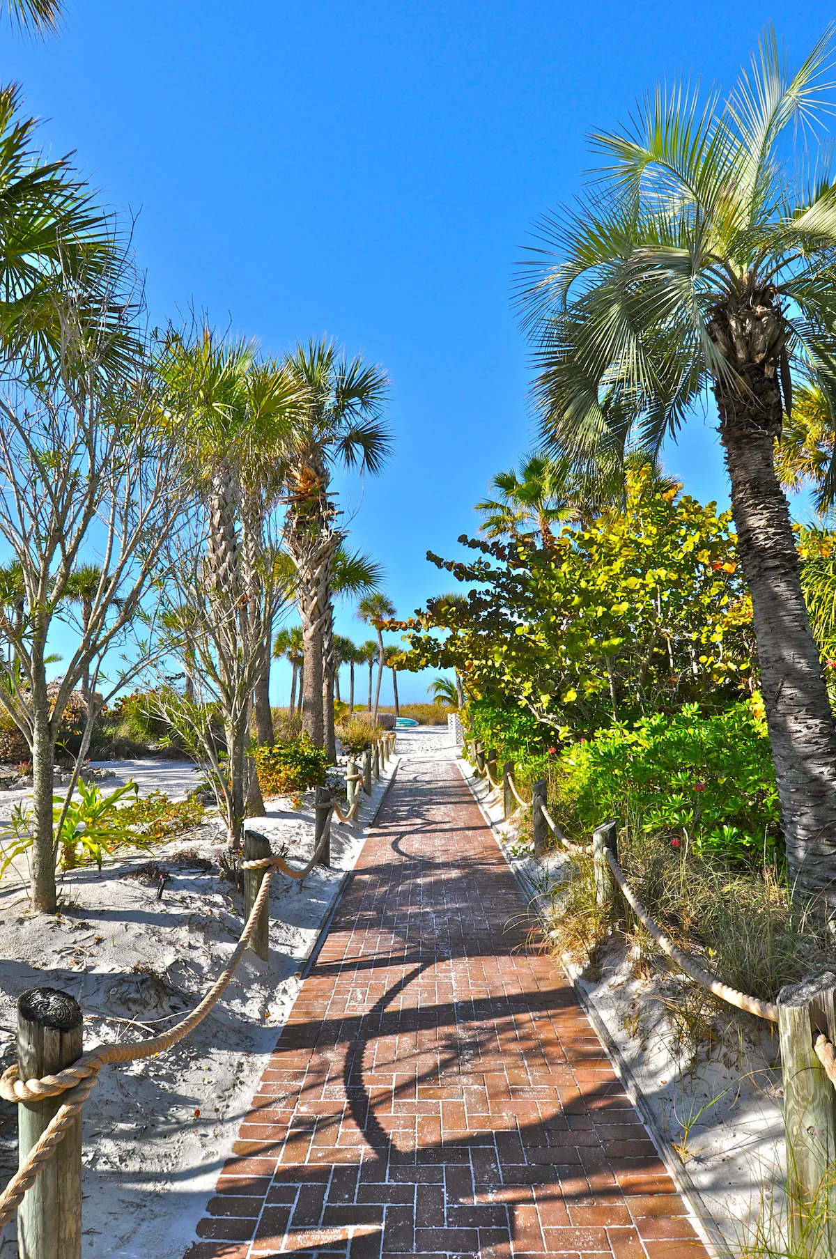 The Capri at Siesta